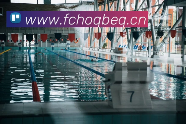 星空网网页版官方入口平台生态图